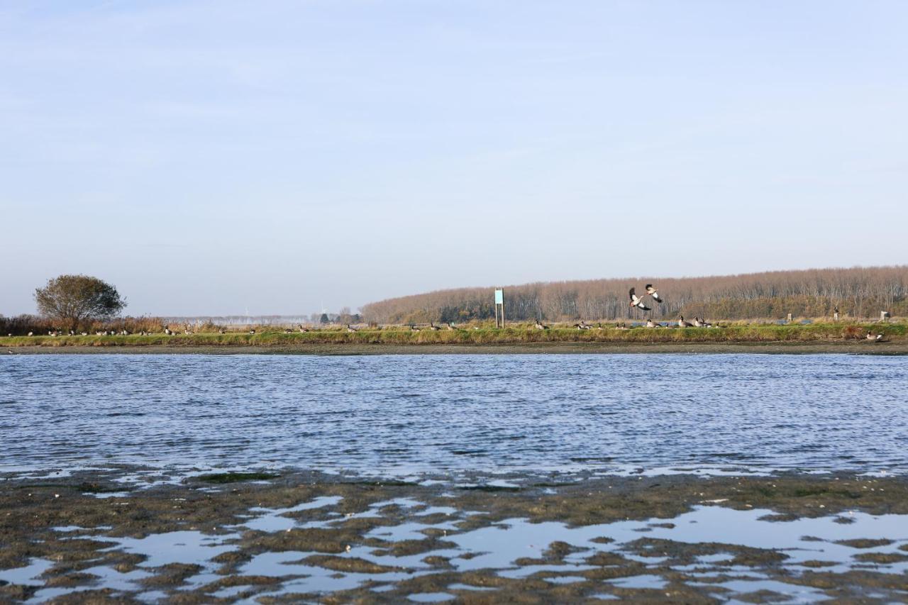 Wolphaartsdijk Huis Met Een Uitzicht Eksteriør billede