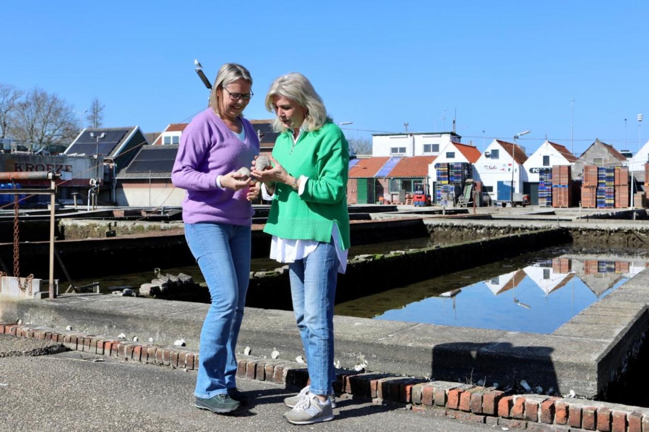 Wolphaartsdijk Huis Met Een Uitzicht Eksteriør billede